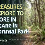 13 Treasures To Explore In Congaree National Park | The Ultimate 2026 Visitor Guide