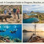 Komodo Island: A Complete Guide to Dragons, Beaches, and Adventure